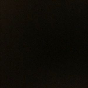 Meet your Posher, Alli